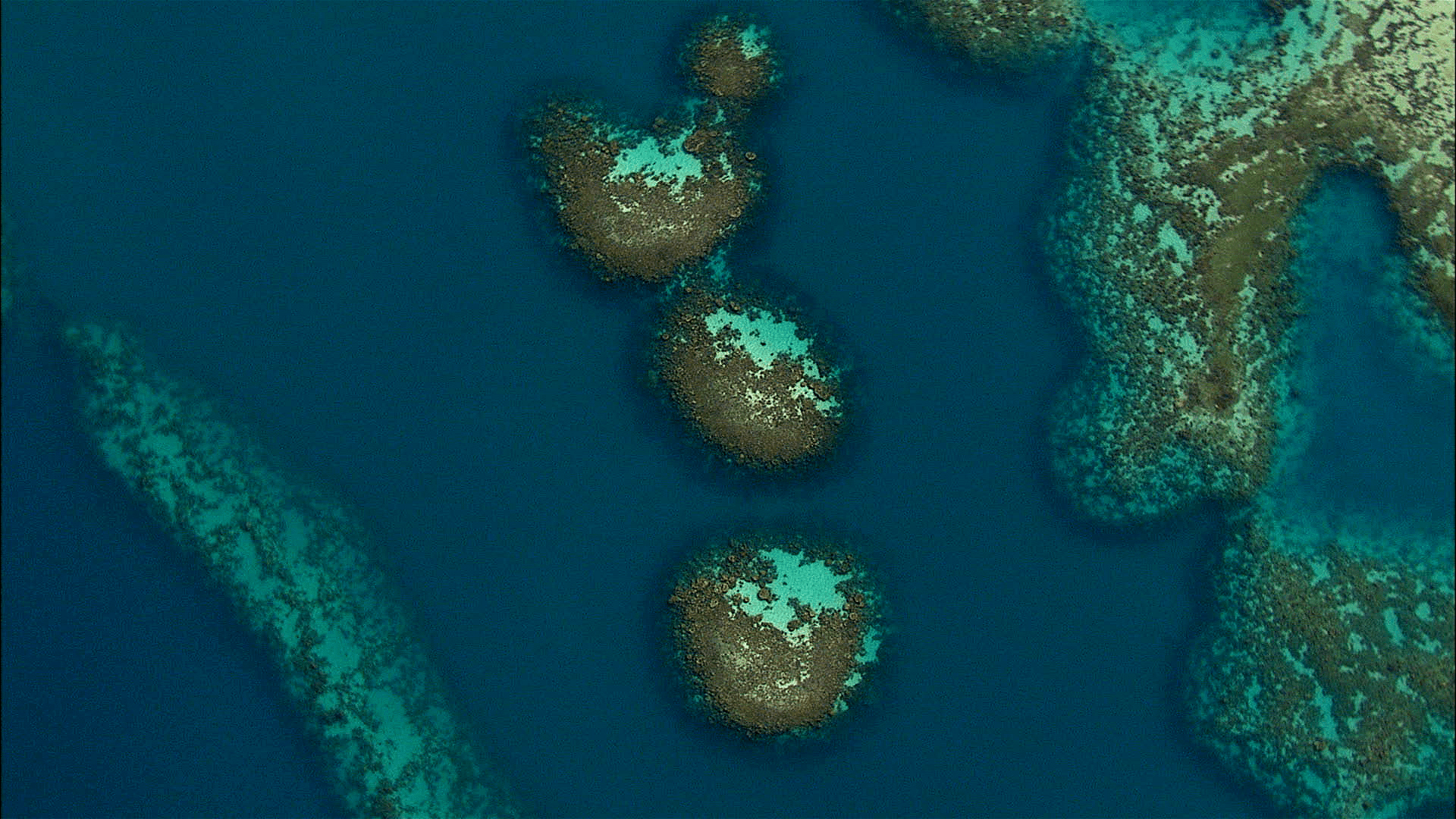 Aerial view of Manifa sea