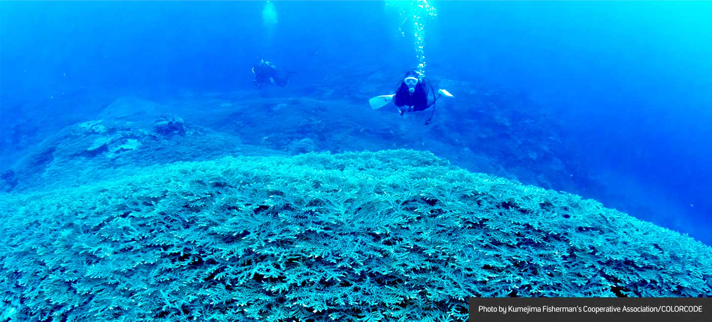 Real stories inspire — Bringing Okinawa's unique coral reef back ...